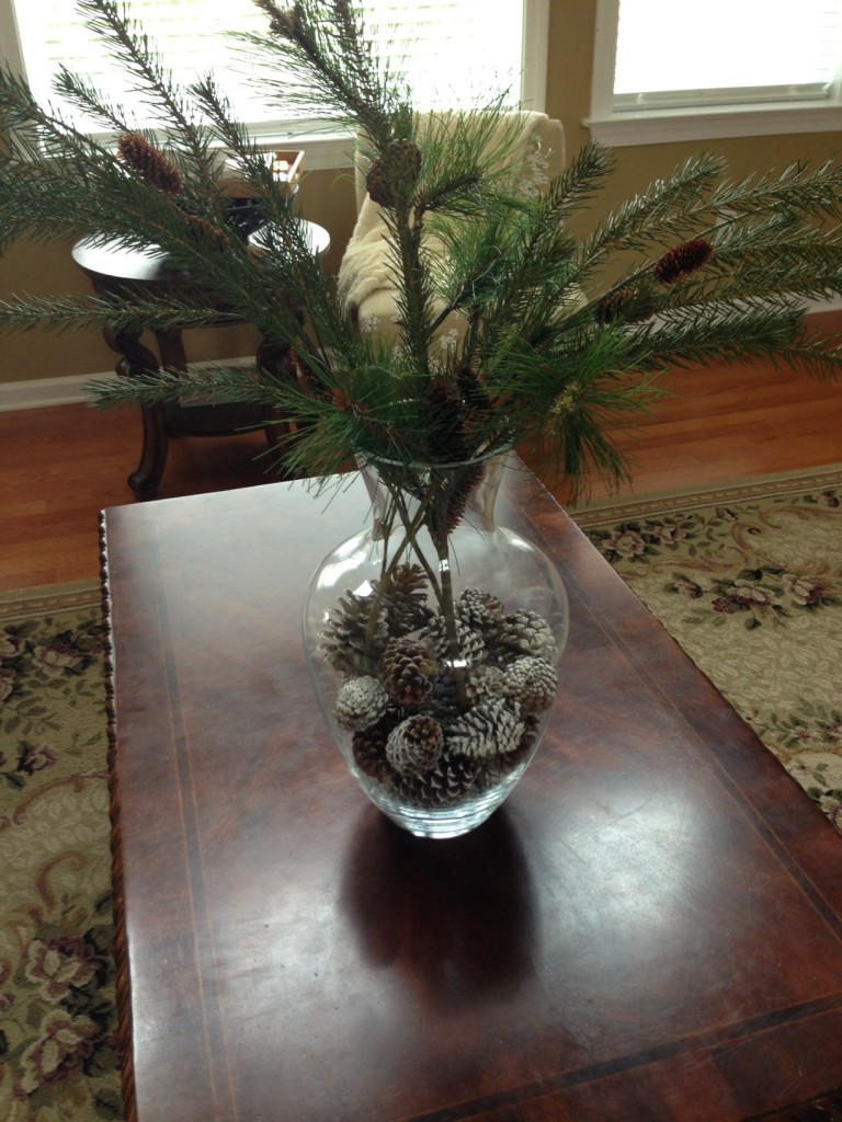 Clear Vase And Pinecones