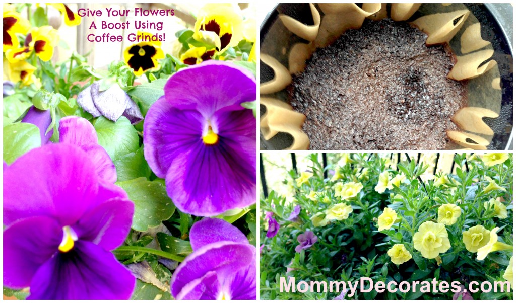 How To Make Flowers Bloom Better Using Coffee Grounds
